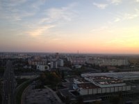 IMG 4176