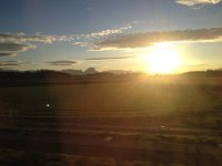 IMG 4259