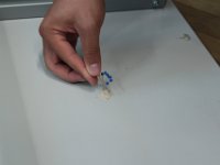IMG 0758