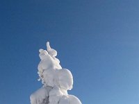 IMG-20170118-WA0017