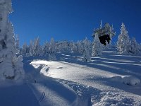 IMG-20170119-WA0006